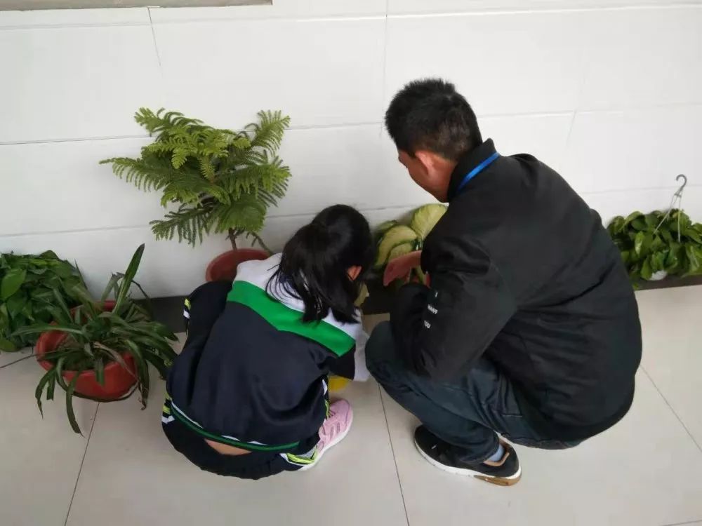 立志成才 路在脚下(图25)