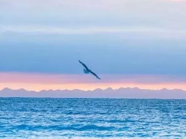 1614930632617429.jpg 图片