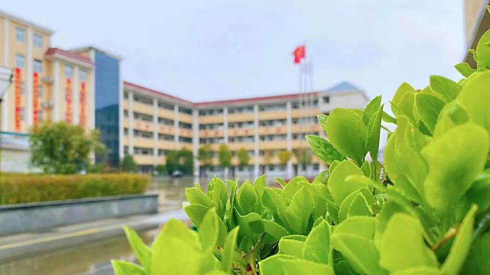 1614925703178985.jpg 图片