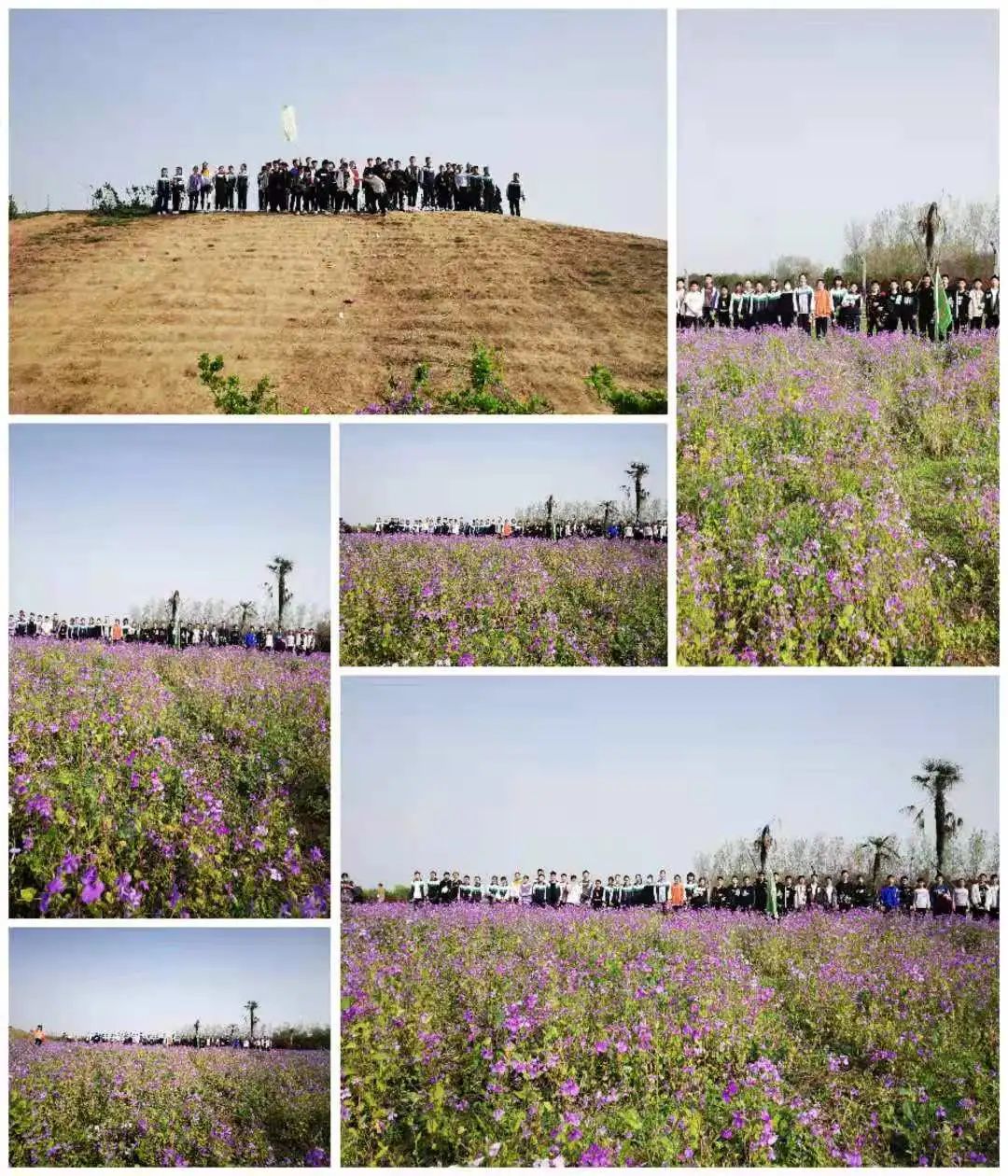 1617181874520908.jpg 图片