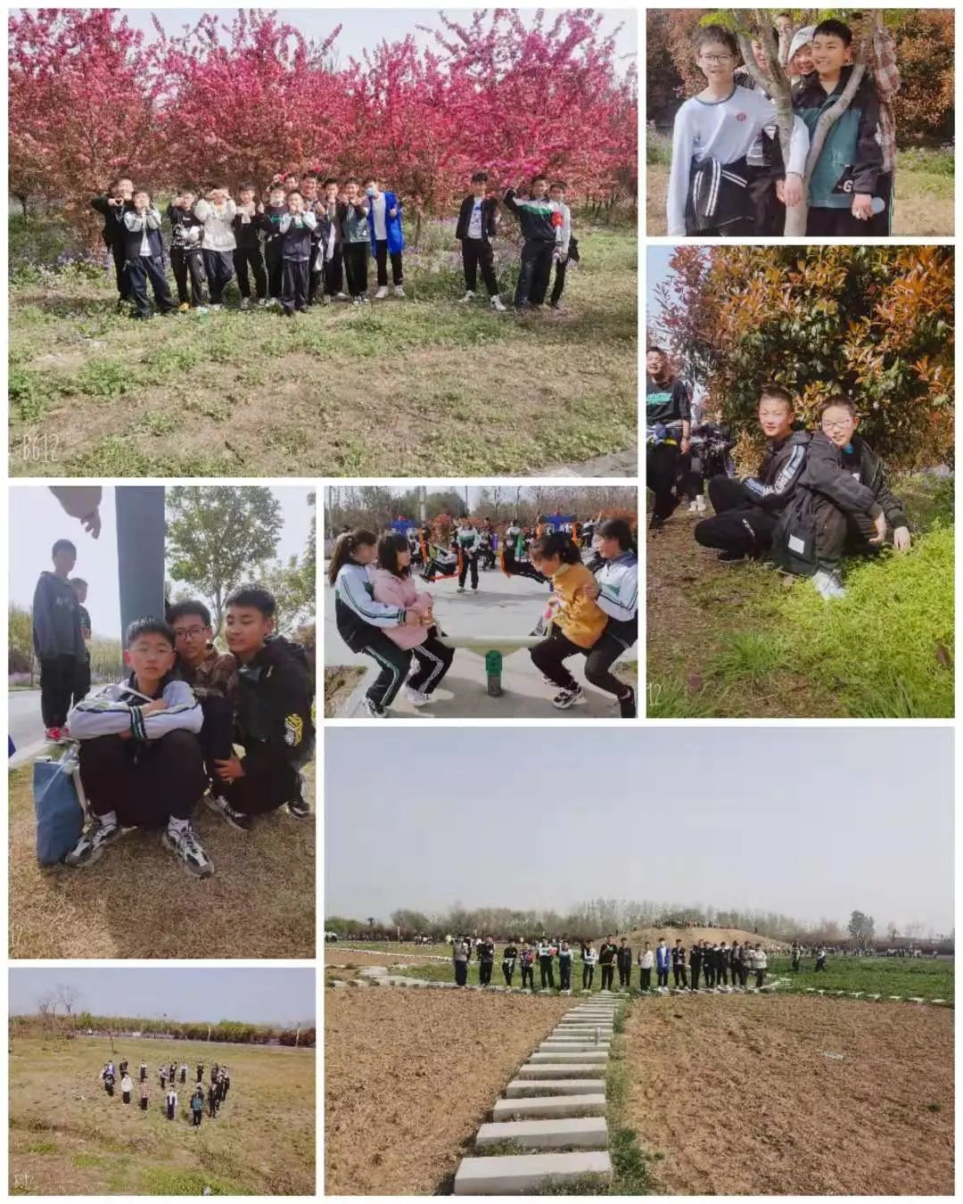 1617181874286945.jpg 图片