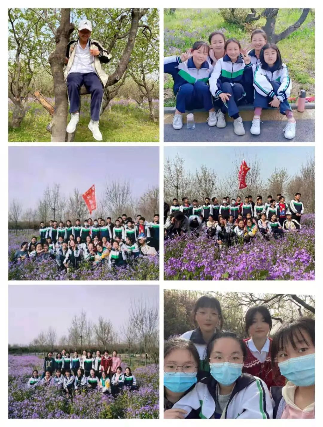 1617181875712718.jpg 图片