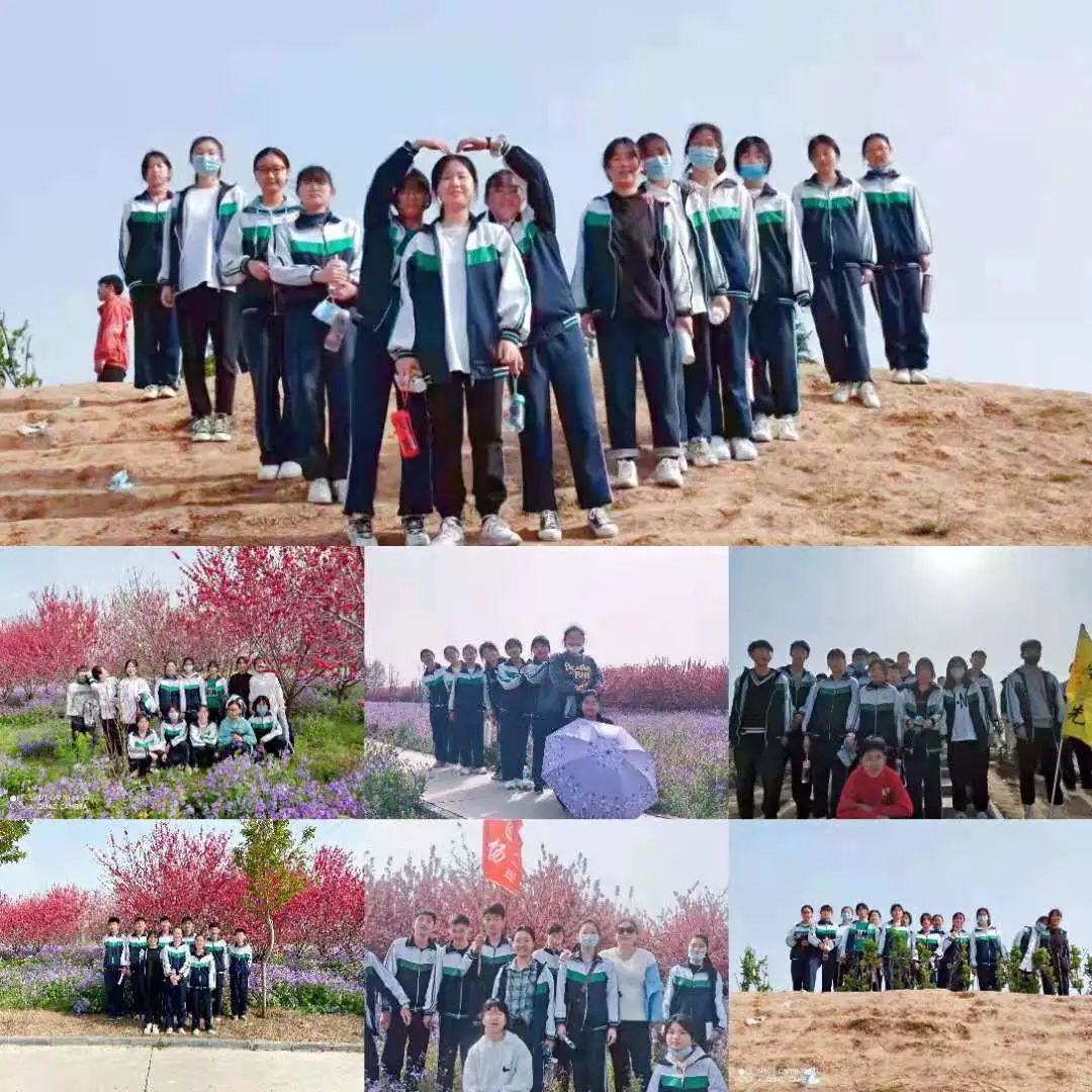 1617182494959467.jpg 图片