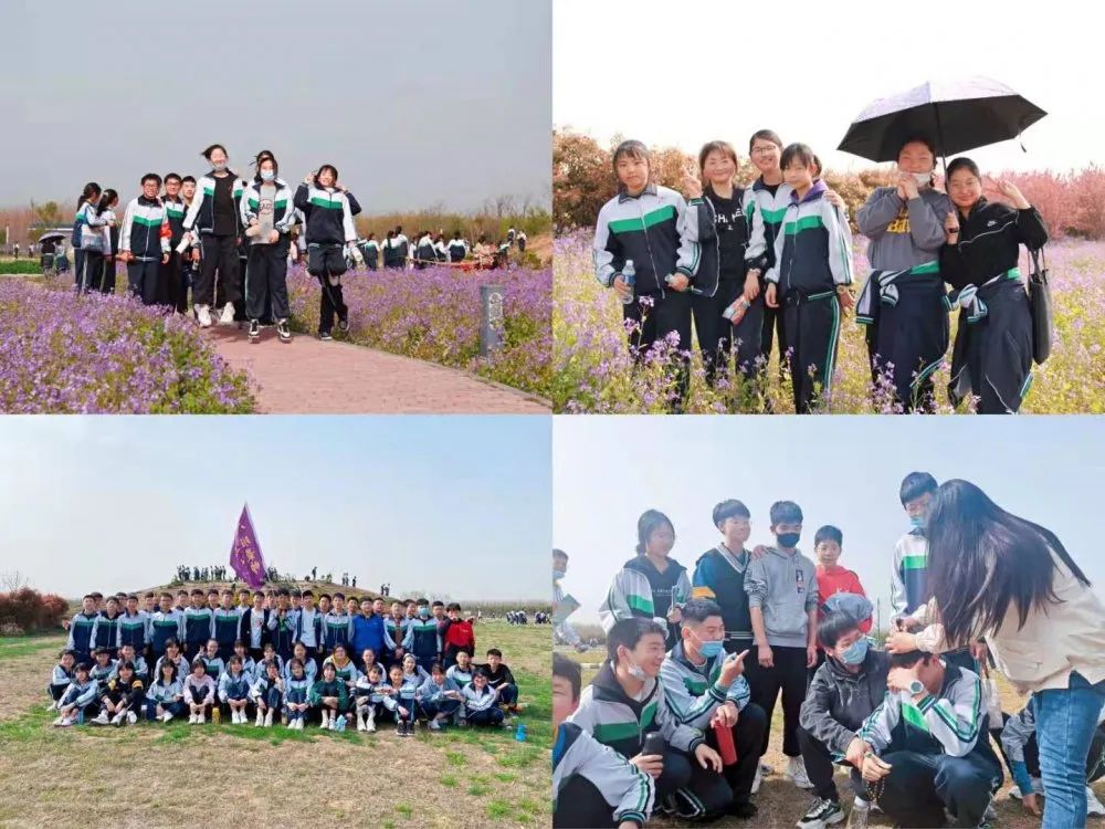 1617182043282902.jpg 图片