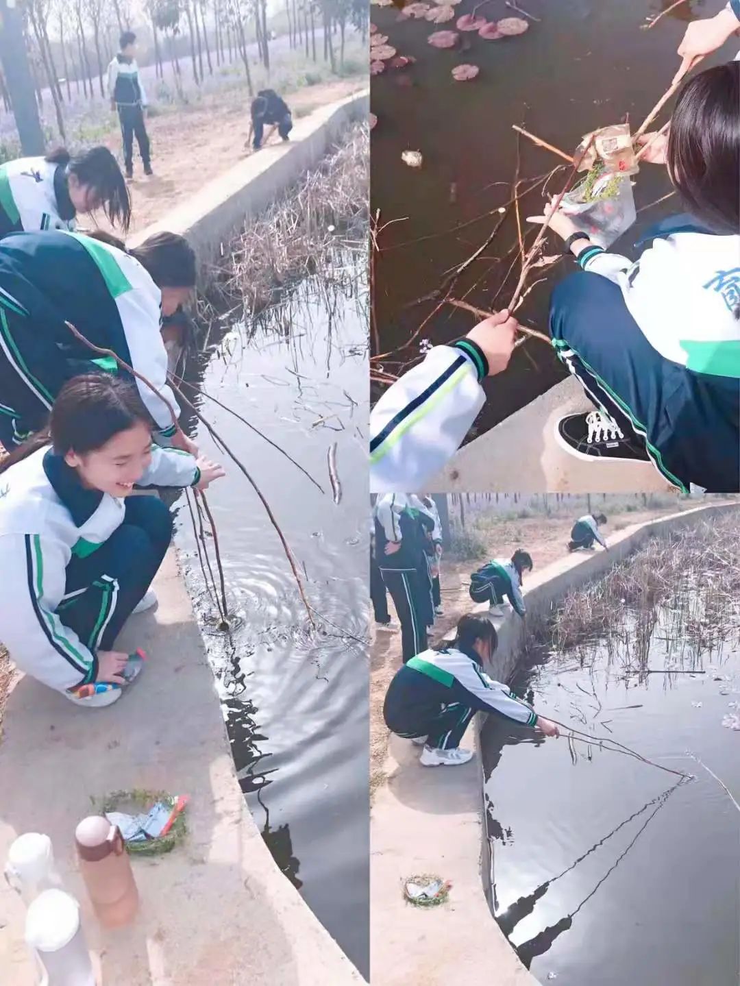 1617182543494485.jpg 图片