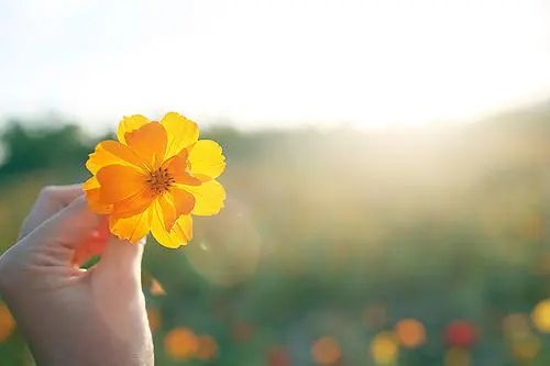 1617182997687081.jpg 图片