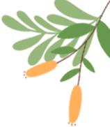 消防知识进军训 上好开学第一课(图1) 图片